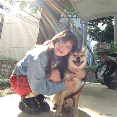 看狗在说话之旧金山历险记